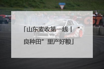 山东麦收第一线丨“良种田”里产好粮