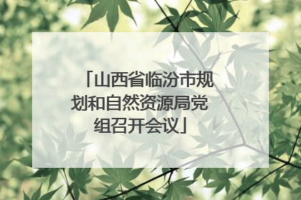 山西省临汾市规划和自然资源局党组召开会议