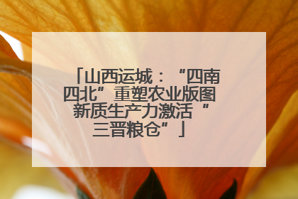 山西运城：“四南四北”重塑农业版图 新质生产力激活“三晋粮仓”