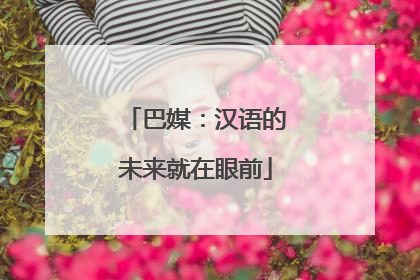 巴媒：汉语的未来就在眼前
