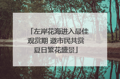 左岸花海进入最佳观赏期 邀市民共赏夏日繁花盛景