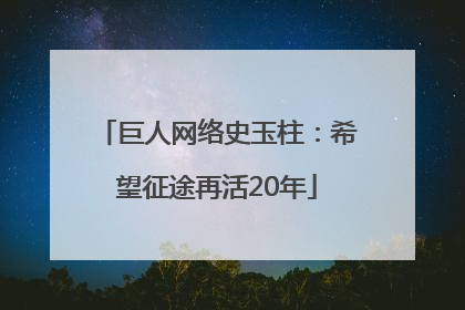巨人网络史玉柱：希望征途再活20年