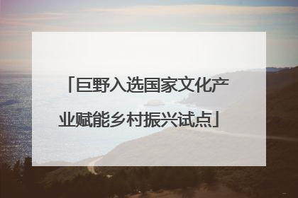 巨野入选国家文化产业赋能乡村振兴试点
