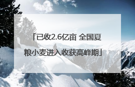 已收2.6亿亩 全国夏粮小麦进入收获高峰期