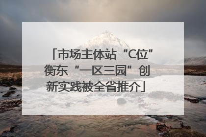 市场主体站“C位” 衡东“一区三园”创新实践被全省推介