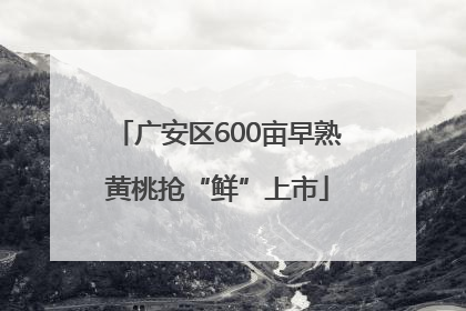 广安区600亩早熟黄桃抢“鲜”上市