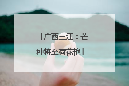 广西三江：芒种将至荷花艳