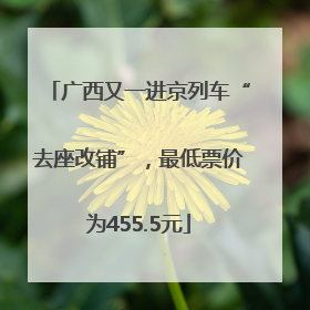 广西又一进京列车“去座改铺”，最低票价为455.5元