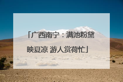 广西南宁：满池粉黛映夏凉 游人赏荷忙