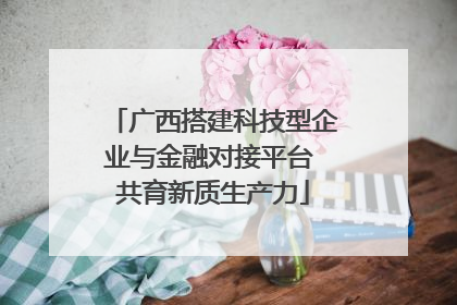 广西搭建科技型企业与金融对接平台 共育新质生产力