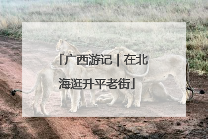 广西游记｜在北海逛升平老街
