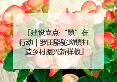 建设支点·“镇”在行动｜罗田骆驼坳镇打造乡村振兴新样板