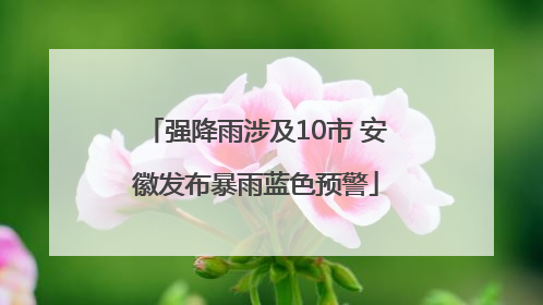 强降雨涉及10市 安徽发布暴雨蓝色预警