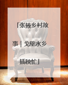 张掖乡村故事｜戈壁水乡插秧忙