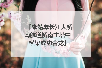 张靖皋长江大桥南航道桥南主塔中横梁成功合龙