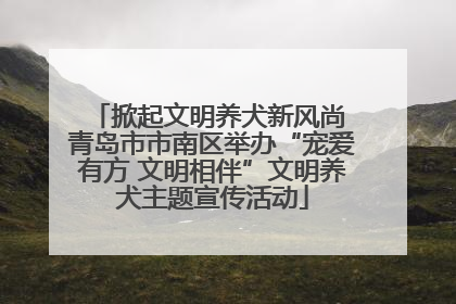 掀起文明养犬新风尚 青岛市市南区举办“宠爱有方 文明相伴”文明养犬主题宣传活动