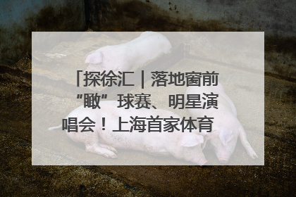探徐汇｜落地窗前“瞰”球赛、明星演唱会！上海首家体育特色高端酒店亮相
