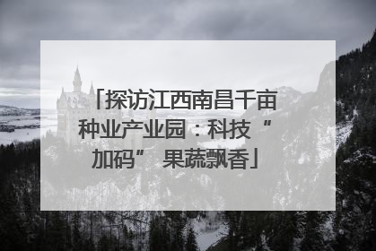 探访江西南昌千亩种业产业园：科技“加码” 果蔬飘香