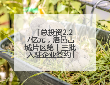 总投资2.27亿元，洛邑古城片区第十三批入驻企业签约
