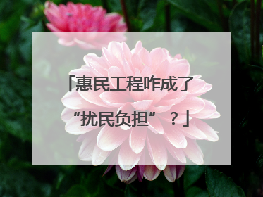 惠民工程咋成了“扰民负担”？
