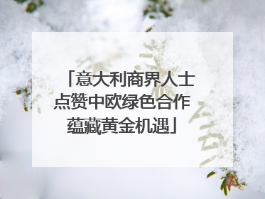 意大利商界人士点赞中欧绿色合作蕴藏黄金机遇