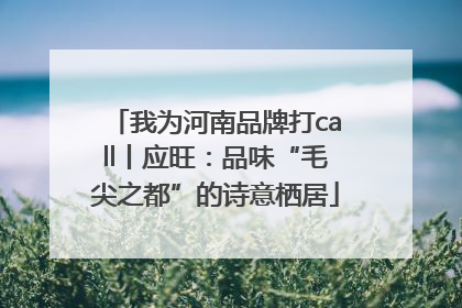 我为河南品牌打call丨应旺：品味“毛尖之都”的诗意栖居