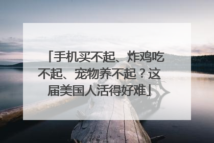 手机买不起、炸鸡吃不起、宠物养不起？这届美国人活得好难