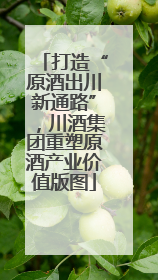 打造“原酒出川新通路”，川酒集团重塑原酒产业价值版图