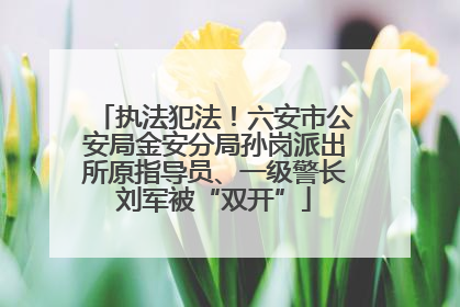 执法犯法！六安市公安局金安分局孙岗派出所原指导员、一级警长刘军被“双开”