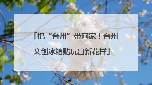 把“台州”带回家！台州文创冰箱贴玩出新花样