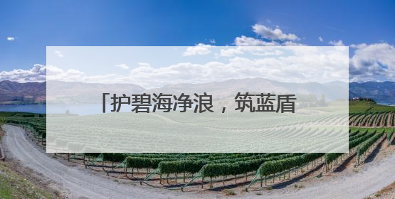 护碧海净浪，筑蓝盾铁壁——浦东海警“沪海安澜·碧海蓝盾”行动织密立体防控网