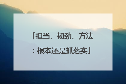 担当、韧劲、方法：根本还是抓落实