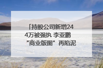 持股公司新增244万被强执 李亚鹏“商业版图”再陷泥潭？｜科技观察