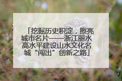 挖掘历史积淀，擦亮城市名片——浙江丽水高水平建设山水文化名城“闯出”创新之路