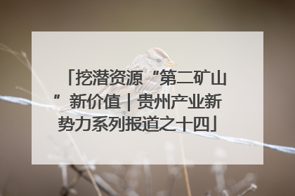 挖潜资源“第二矿山”新价值｜贵州产业新势力系列报道之十四