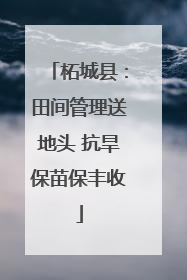 柘城县：田间管理送地头 抗旱保苗保丰收