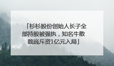 杉杉股份创始人长子全部持股被强执，知名牛散魏巍斥资1亿元入局