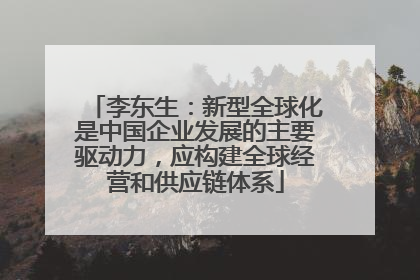 李东生：新型全球化是中国企业发展的主要驱动力，应构建全球经营和供应链体系