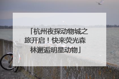 杭州夜探动物城之旅开启！快来荧光森林邂逅明星动物
