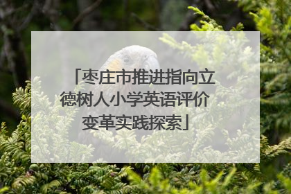 枣庄市推进指向立德树人小学英语评价变革实践探索