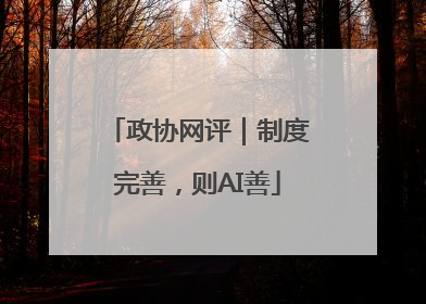 政协网评｜制度完善，则AI善