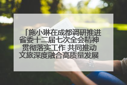 施小琳在成都调研推进省委十二届七次全会精神贯彻落实工作 共同推动文旅深度融合高质量发展 加快打造支柱产业民生产业幸福产业