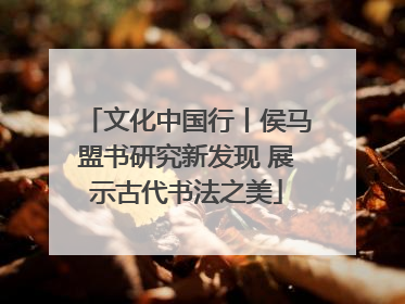 文化中国行丨侯马盟书研究新发现 展示古代书法之美