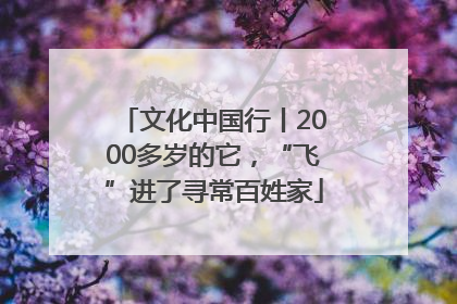 文化中国行丨2000多岁的它，“飞”进了寻常百姓家