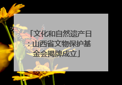 文化和自然遗产日：山西省文物保护基金会揭牌成立