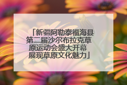新疆阿勒泰福海县第二届沙尔布拉克草原运动会盛大开幕 展现草原文化魅力