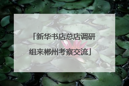 新华书店总店调研组来郴州考察交流