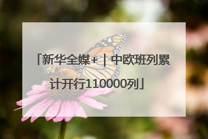 新华全媒+｜中欧班列累计开行110000列