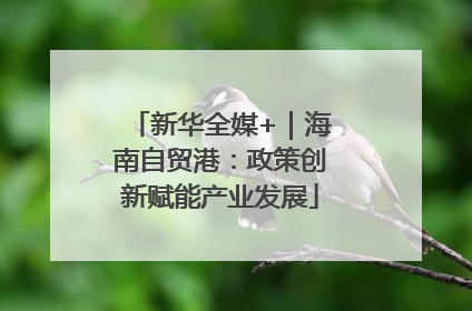 新华全媒+｜海南自贸港：政策创新赋能产业发展