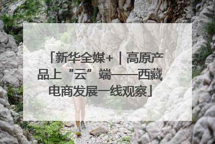 新华全媒+｜高原产品上“云”端——西藏电商发展一线观察